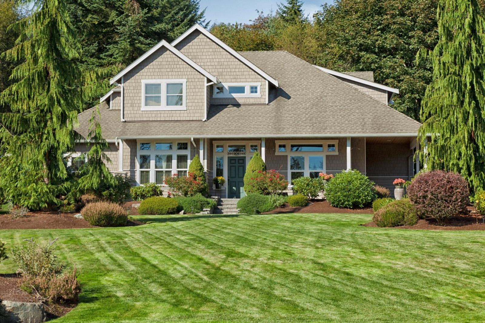 Curb Appeal Landscaping 